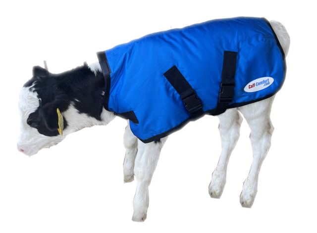 Calf Jacket (Light Green, White, )