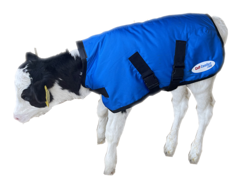 Calf Jacket